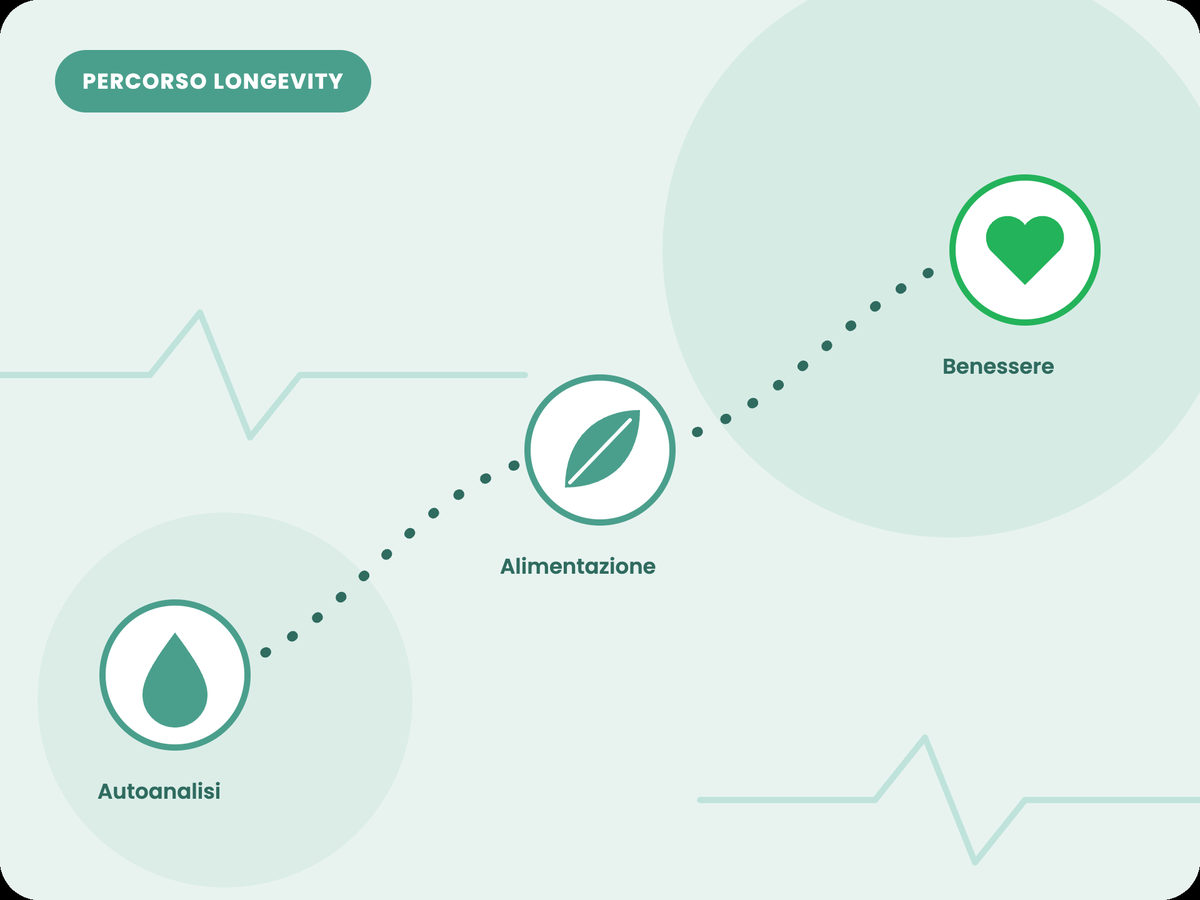 Illustrazione del percorso longevity: dalle autoanalisi all’alimentazione al benessere